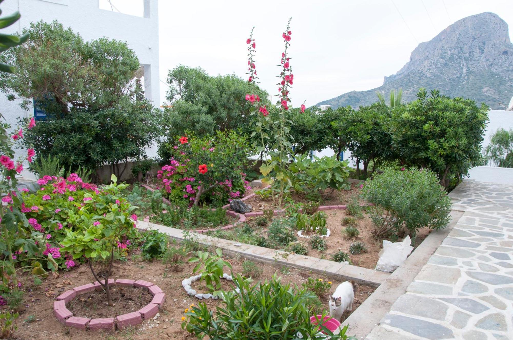 Tatsis Apartments Masouri Habitación foto
